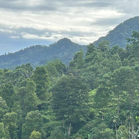 Villa Kubu Gitgit Esterno foto