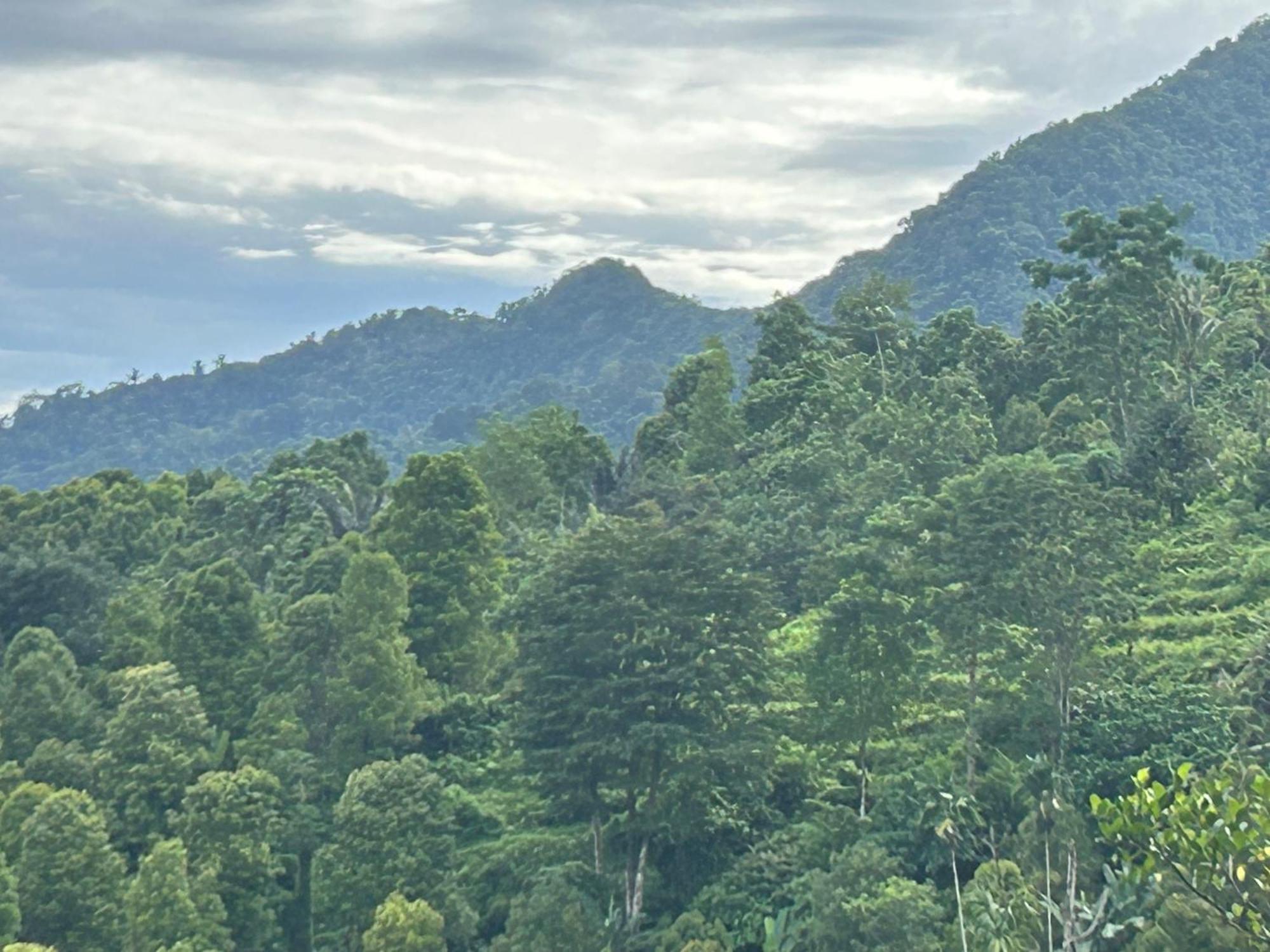 Villa Kubu Gitgit Esterno foto